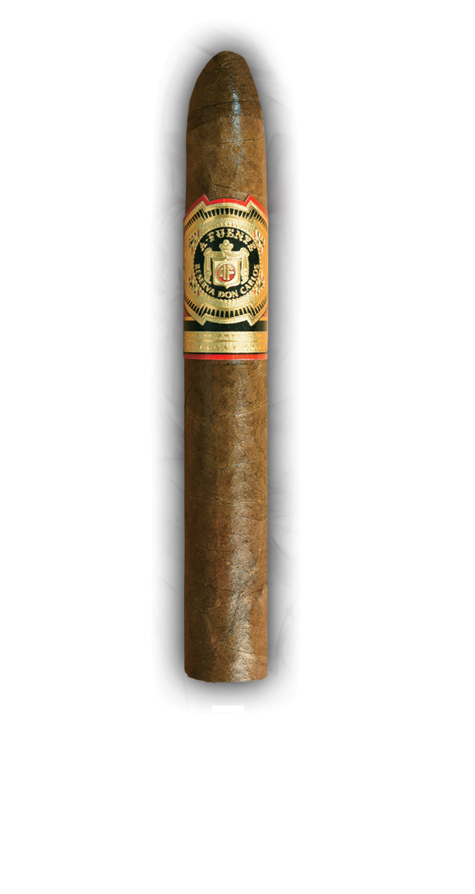 ARTURO FUENTE DON CARLOS