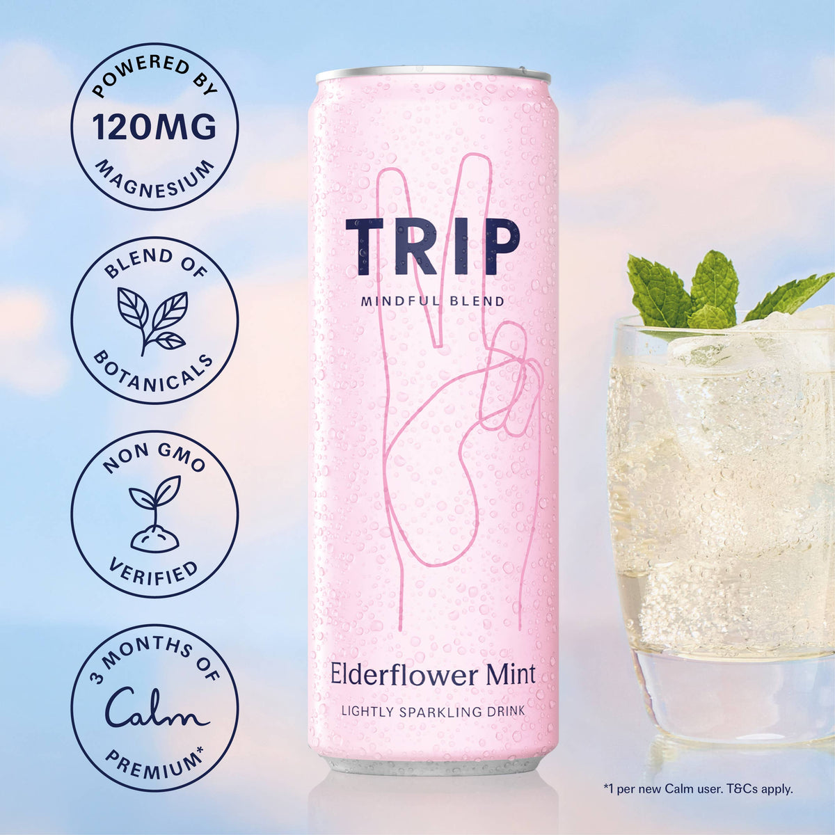 Trip Elderflower Mint Mindful Blend