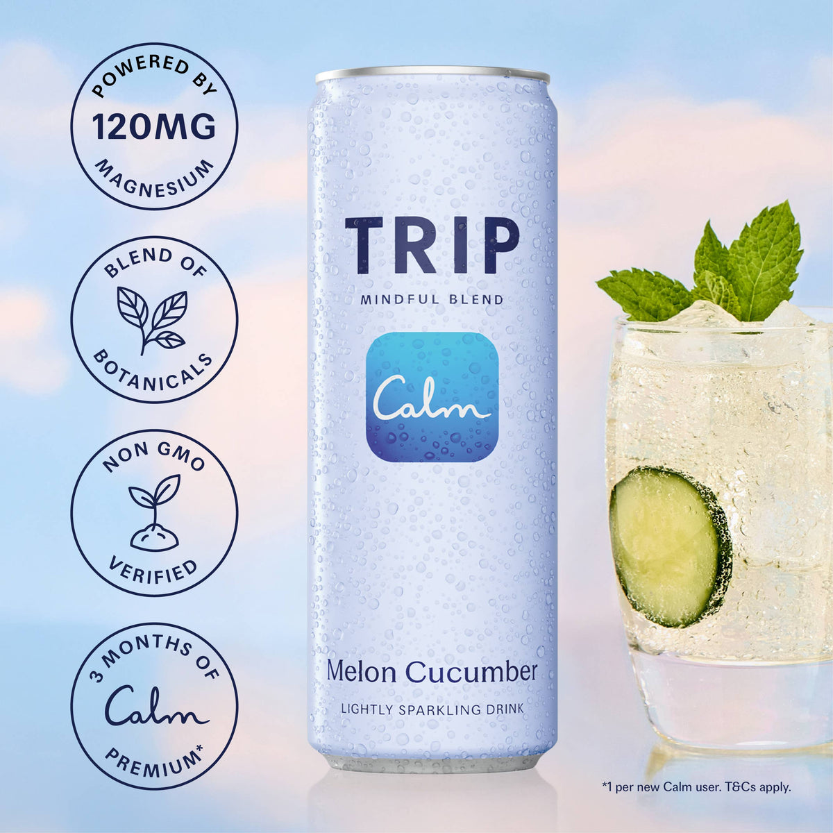 Trip Melon Cucumber Mindful Blend