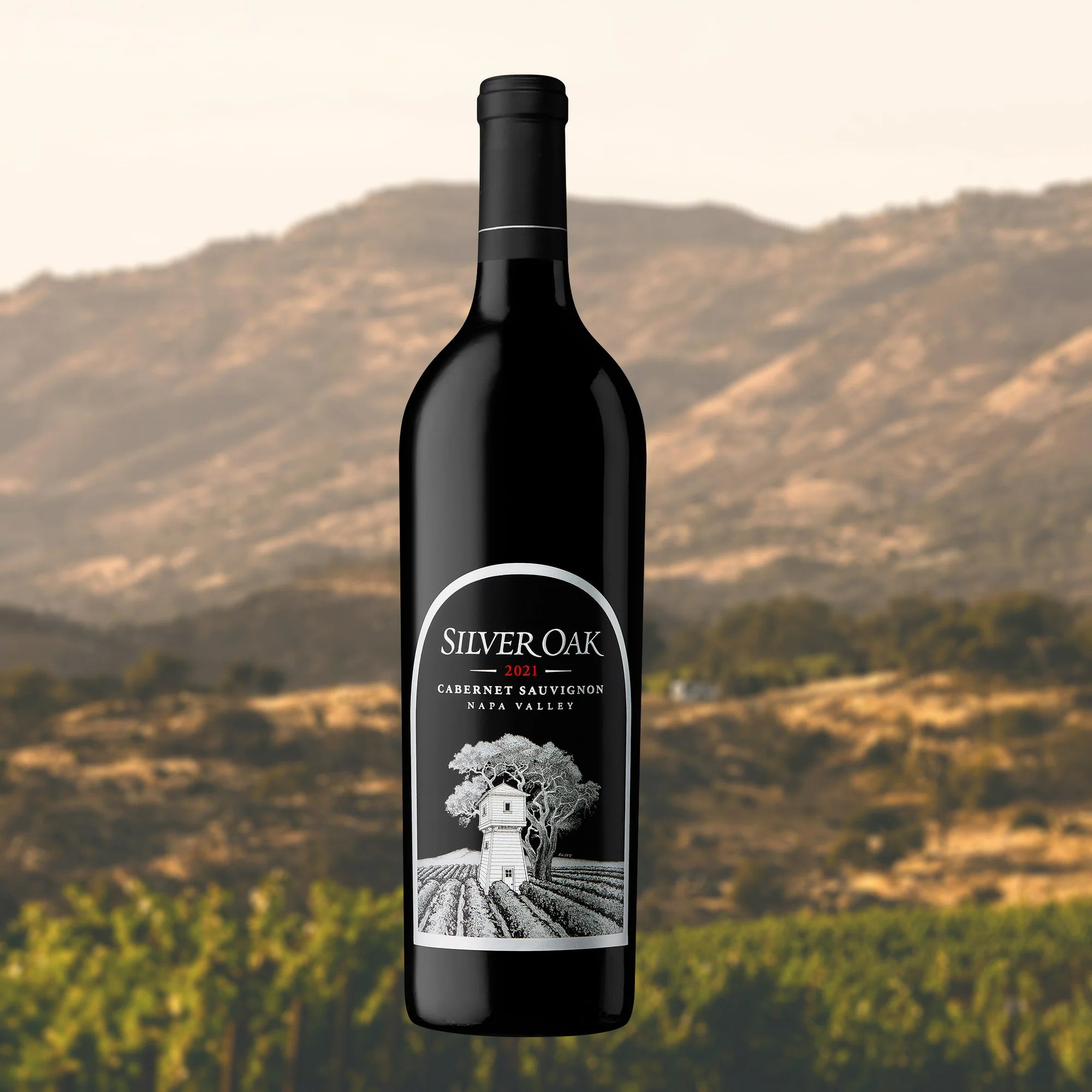 2021 Napa Valley Cabernet Sauvignon
