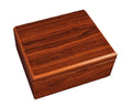 Craftsman's Bench Dynasty Humidor