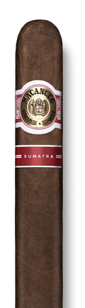 MACANUDO SUMATRA Robusto 5" x 50
