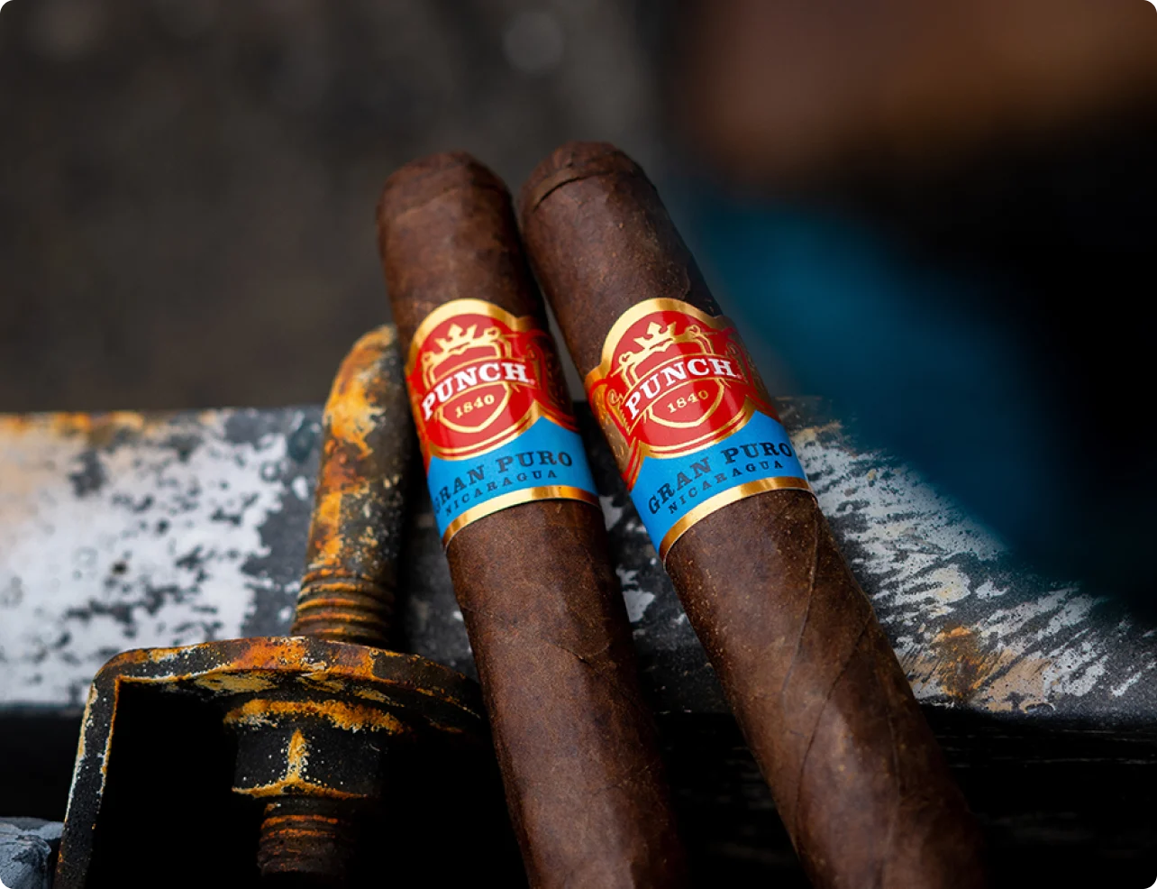 PUNCH GRAN PURO Toro 6" x 54